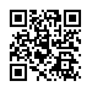 Audit.tesla.services QR code