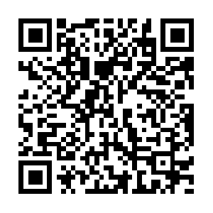 Ausdisabilityandyouthemployment.com QR code