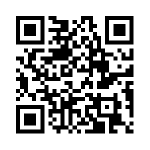 Austinitconsultant.com QR code