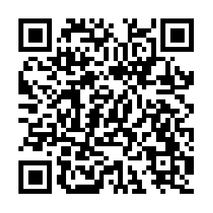 Australianvaluationadvisoryservices.com QR code