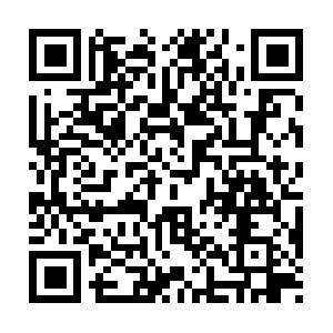 Autoaccidentlawyermichigan-88102.us QR code