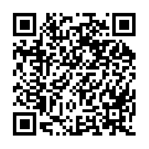 Autopsyofdomesticviolenceanddivorce.com QR code