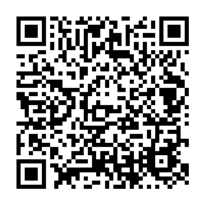 Avcdn.net.getcacheddhcpresultsforcurrentconfig QR code