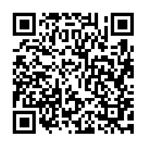 Avignonprestigeexcursionsandtransfers.com QR code