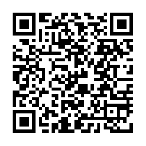 Ayambebekkremestulanglunakmatneyga.com QR code