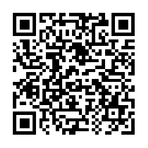 B0a3a409e3a43c9806b0bb1cfe03d319.net QR code