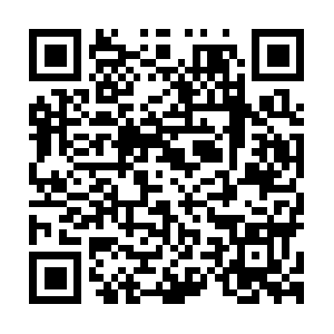 Bachelorettepartylimorentalbonitasprings.com QR code