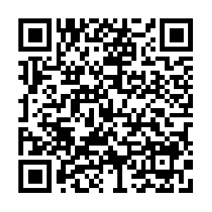 Backtobasicsorganicessentialhairoil.com QR code