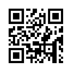 Bag-333.com QR code