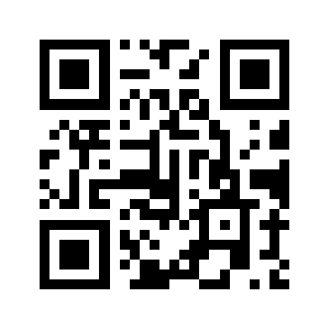 Bagitnyc.com QR code