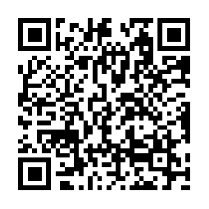 Bainbridge-bicycle-biomechanics.com QR code