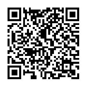 Bajrangibhaijaanboxoffice-collection.com QR code