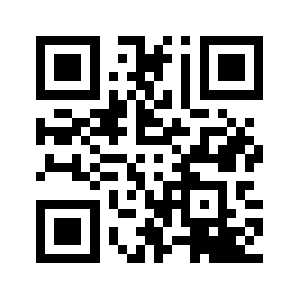 Bargaince.com QR code