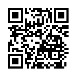 Basementsystemguys.com QR code