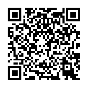 Baskentengelsizyasamadestekdernegi.com QR code