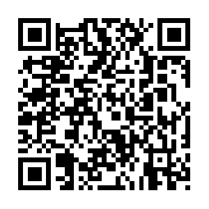Battleroyale-connector.fungames-forfree.com QR code
