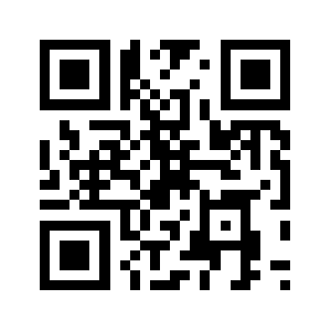 Bavasgroup.com QR code