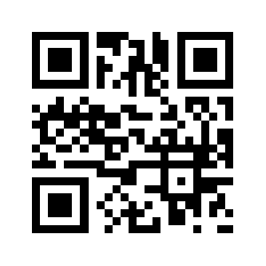 Bd295.com QR code