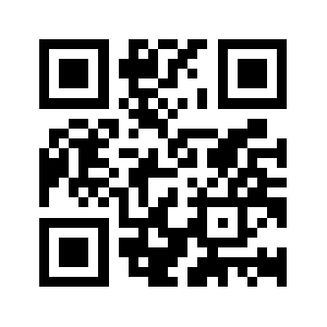 Bdemir.net QR code