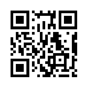 Bdfgroup.net QR code