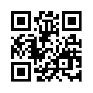 Bdgx.info QR code