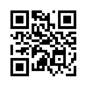 Bdi-usa.com QR code