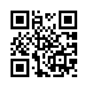 Bdirti.com QR code