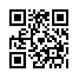 Bdstock.biz QR code