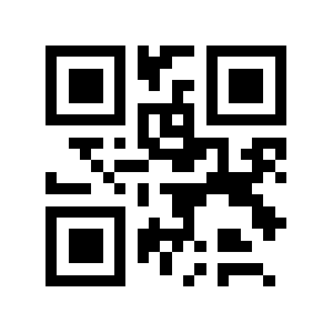 Bdt.biz QR code