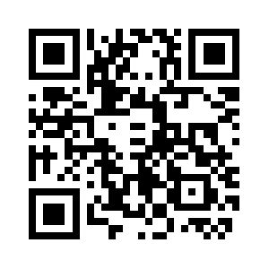 Beachautokings.biz QR code