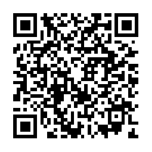 Beatrizelenacornerstoneloyaltygroup.ca QR code