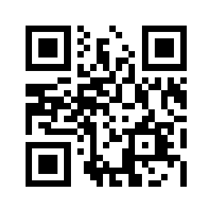 Beritapapua.id QR code