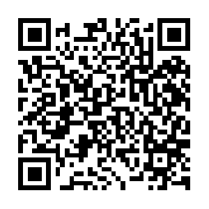 Best-insight-to-have-drivingforward.info QR code