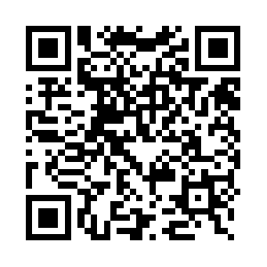 Besthiltonheadtreeservice.com QR code