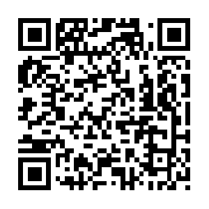 Bestmusclebuildingsupplementsguide.com QR code