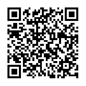 Bestpizzadeliveryincoconutgrove.com QR code