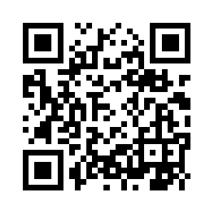 Besyolpilavcisi.com QR code