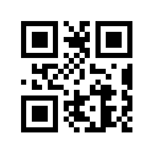 Bfbt.de QR code