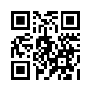 Bfv.website QR code