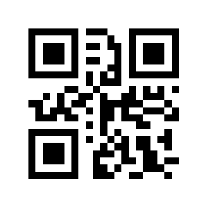 Bfz.biz QR code