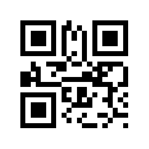 Bg.it QR code