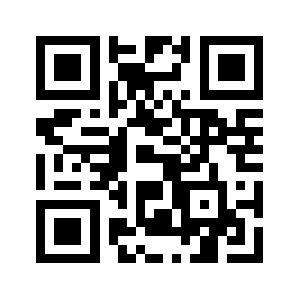 Bgnow.eu QR code