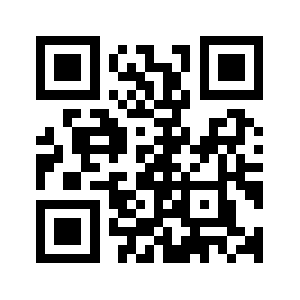 Bgsize.com QR code