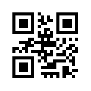 Bhs.net QR code