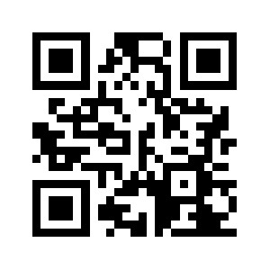 Bi2g.com QR code