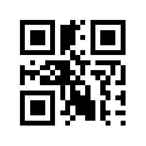 Bibr.de QR code