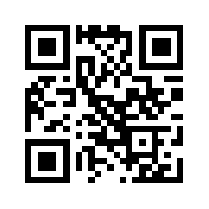 Bidadv.com QR code