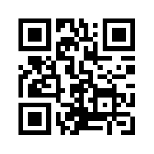 Bidelfund.info QR code