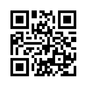 Bidiza.info QR code