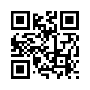 Bidzen.co QR code